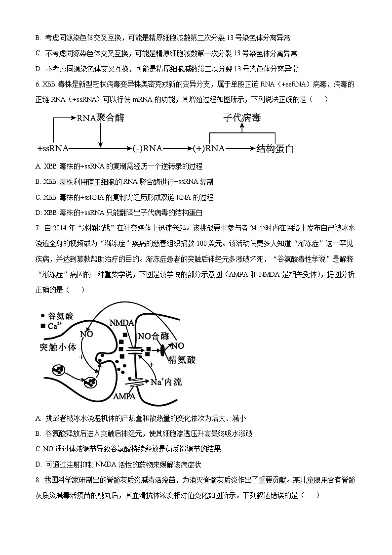2024届安徽省合肥一中高三最后一卷生物试题（学生版）第3页