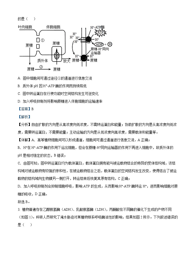 2024届安徽省合肥一中高三最后一卷生物试题（教师版）第2页