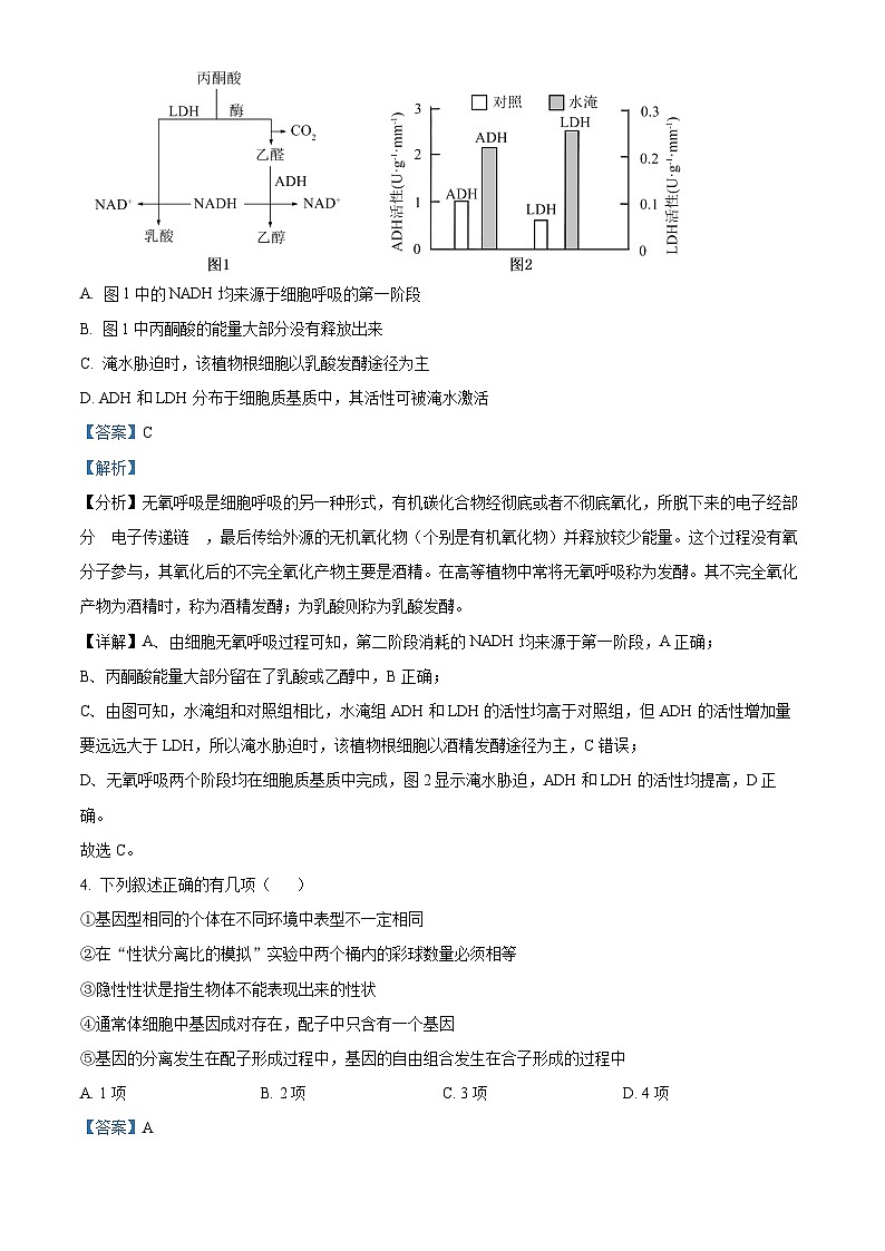 2024届安徽省合肥一中高三最后一卷生物试题（教师版）第3页