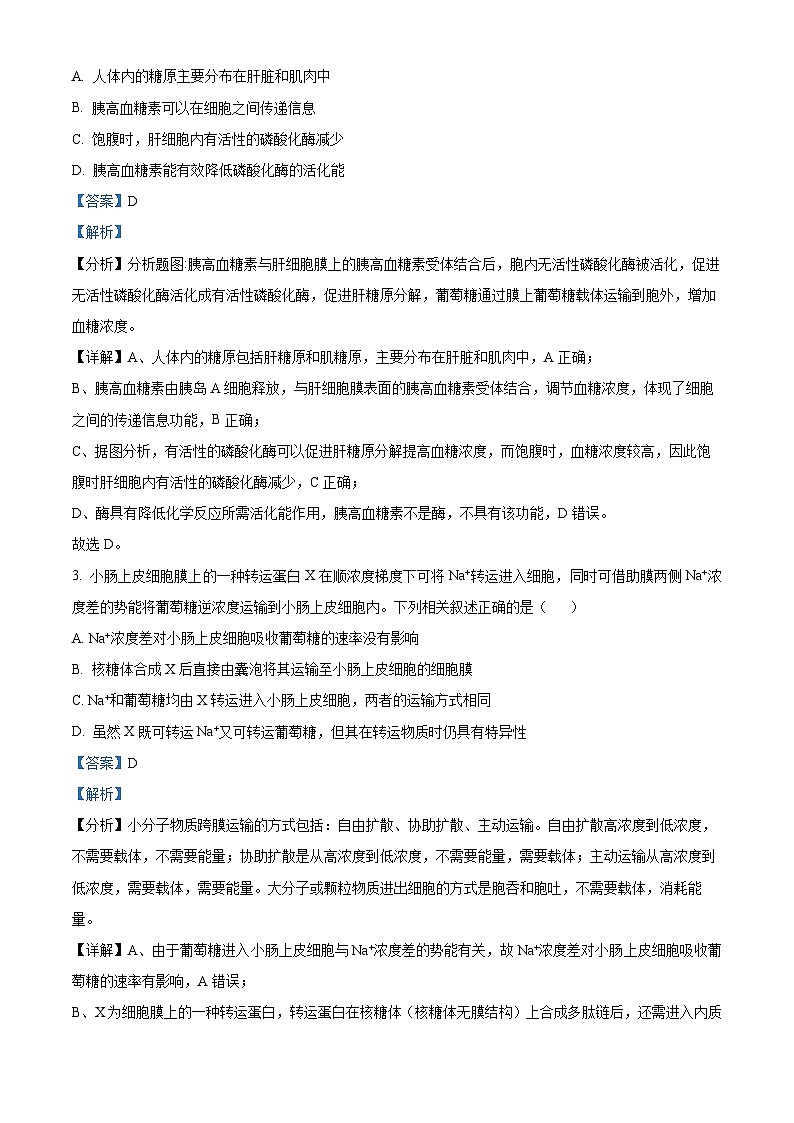 2024届甘肃省白银市靖远县第二中学高三下学期模拟预测生物试题（教师版）第2页