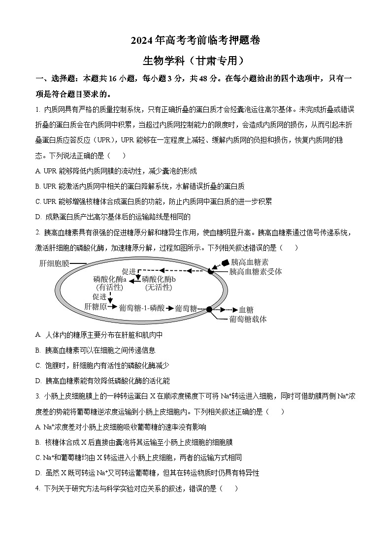 2024届甘肃省白银市靖远县第二中学高三下学期模拟预测生物试题（学生版）第1页