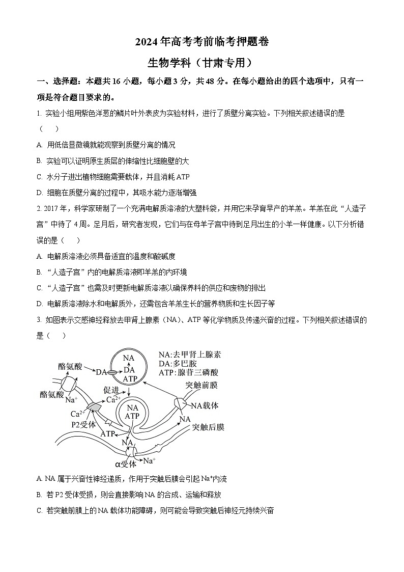 2024届甘肃省白银市靖远县第一中学高三模拟预测生物试题（学生版）第1页