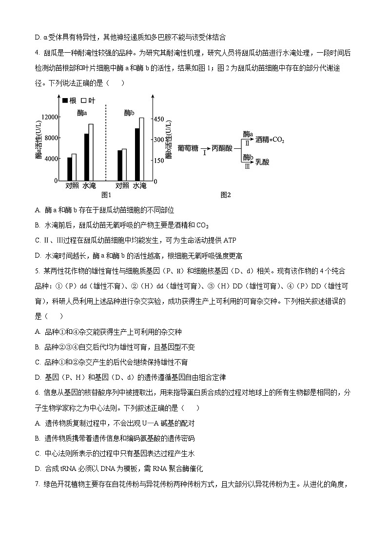 2024届甘肃省白银市靖远县第一中学高三模拟预测生物试题（学生版）第2页