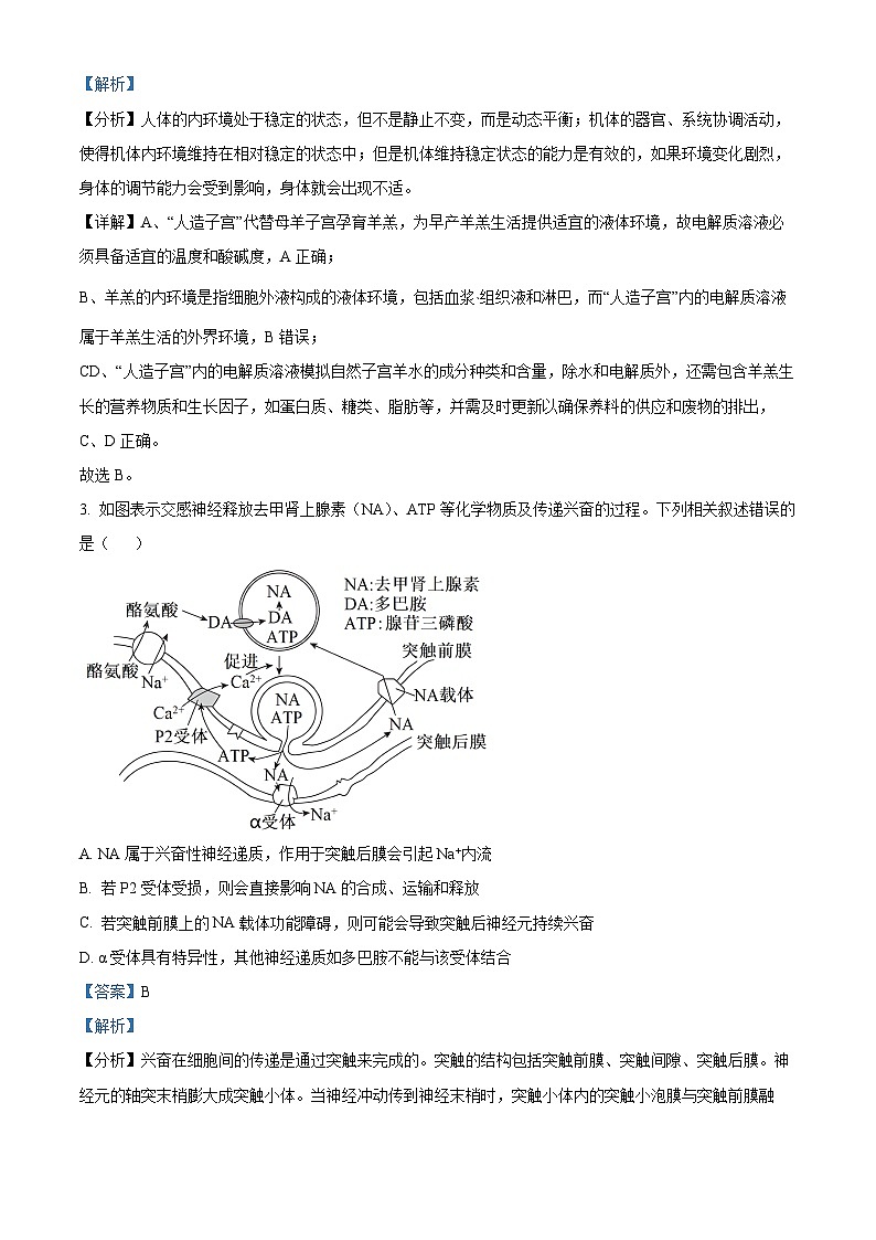2024届甘肃省白银市靖远县第一中学高三模拟预测生物试题（教师版）第2页