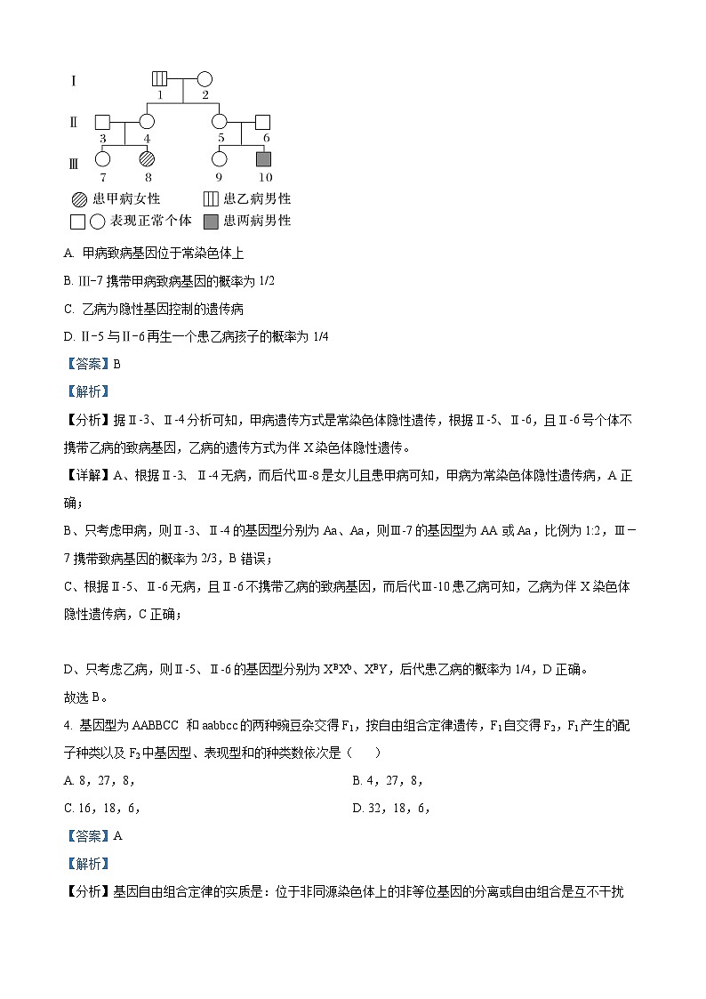河北省高一下学期5月联考2023-2024学年高一下学期5月期中生物试题（学生版+教师版）03