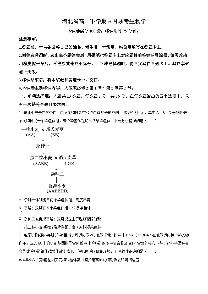 河北省高一下学期5月联考2023-2024学年高一下学期5月期中生物试题（学生版+教师版）01