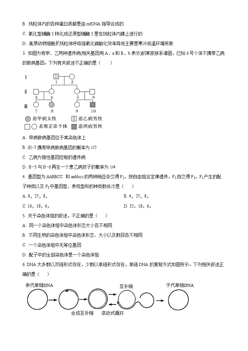 河北省高一下学期5月联考2023-2024学年高一下学期5月期中生物试题（学生版+教师版）02