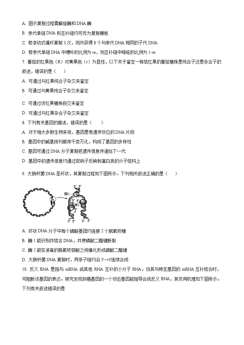 河北省高一下学期5月联考2023-2024学年高一下学期5月期中生物试题（学生版+教师版）03