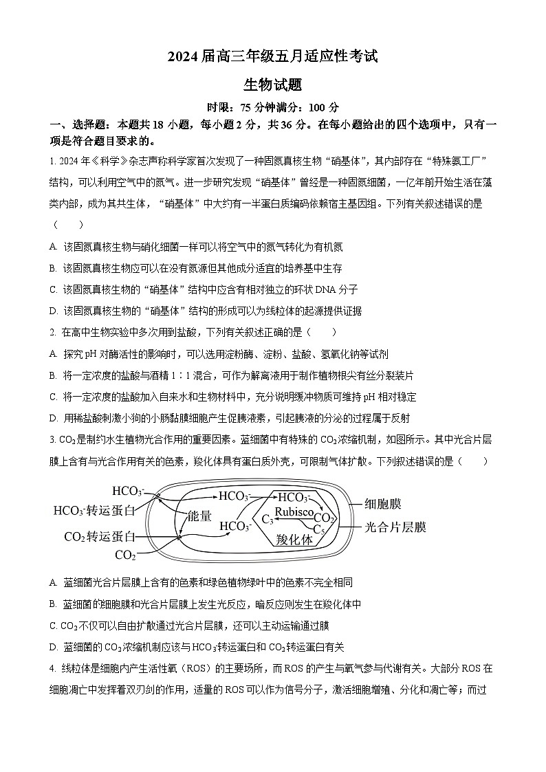 湖北省武汉市华中师范大学第一附属中学2023—2024高三下学期5月考试生物试题（学生版+教师版）01