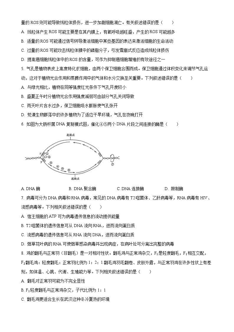 湖北省武汉市华中师范大学第一附属中学2023—2024高三下学期5月考试生物试题（学生版+教师版）02