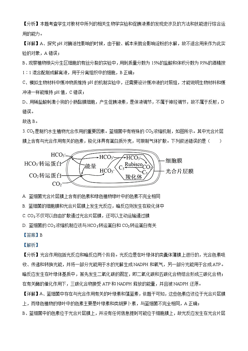 湖北省武汉市华中师范大学第一附属中学2023—2024高三下学期5月考试生物试题（学生版+教师版）02