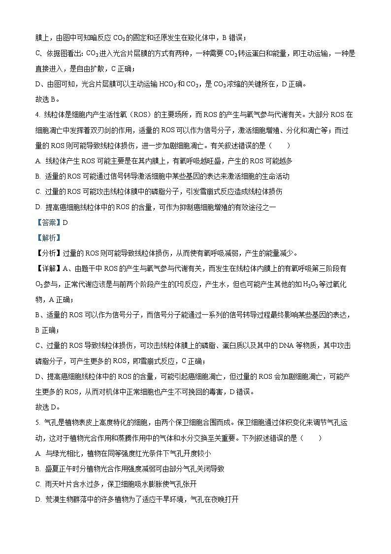 湖北省武汉市华中师范大学第一附属中学2023—2024高三下学期5月考试生物试题（学生版+教师版）03