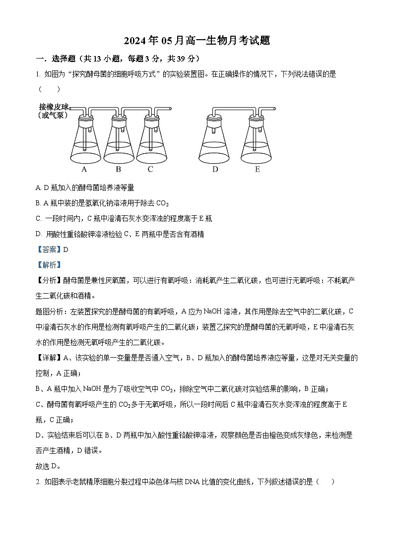 湖南省岳阳市汨罗市第一中学2023-2024学年高一下学期5月月考生物试题（学生版+教师版）01