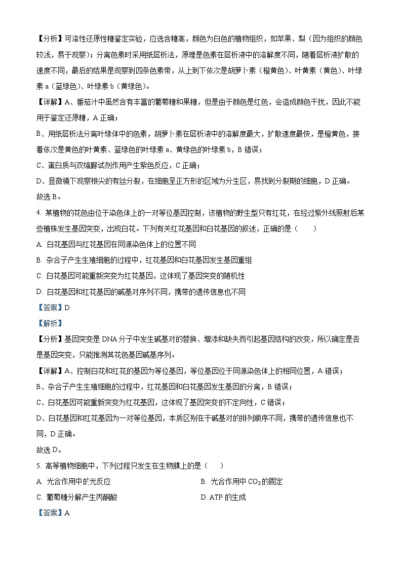湖南省岳阳市汨罗市第一中学2023-2024学年高一下学期5月月考生物试题（学生版+教师版）03