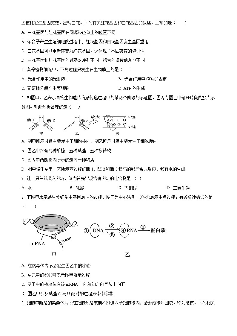 湖南省岳阳市汨罗市第一中学2023-2024学年高一下学期5月月考生物试题（学生版+教师版）02