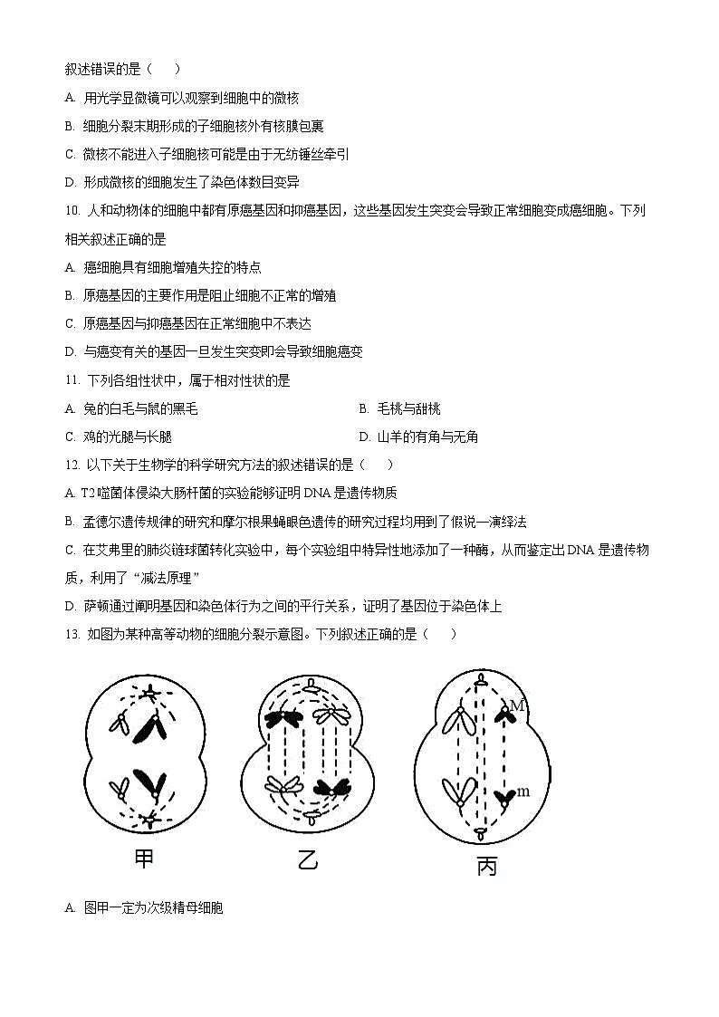 湖南省岳阳市汨罗市第一中学2023-2024学年高一下学期5月月考生物试题（学生版+教师版）03