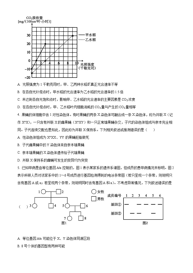 江西省部分学校2024届高三下学期5月统一调研测试生物试题02