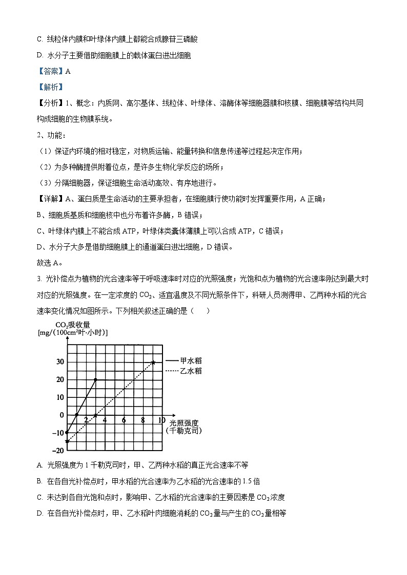江西省部分学校2024届高三下学期5月统一调研测试生物试题02