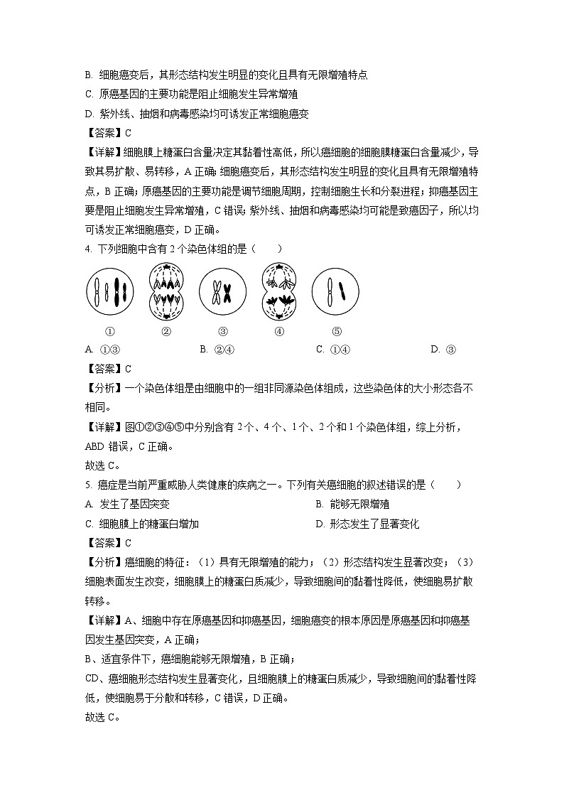 河北省石家庄北华中学2022-2023学年高一下学期6月月考生物试卷（解析版）第2页