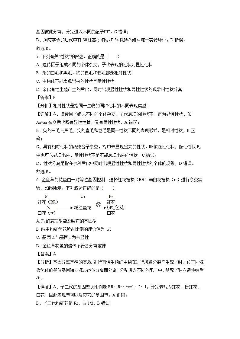 江苏省扬州市高邮市2023-2024学年高一下学期5月月考生物试卷（解析版）第3页
