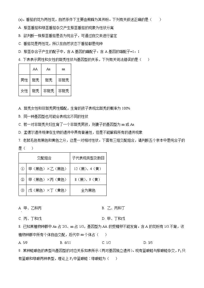 河南省信阳市浉河区信阳高级中学2023-2024学年高一下学期5月期中生物试题（学生版+教师版）02