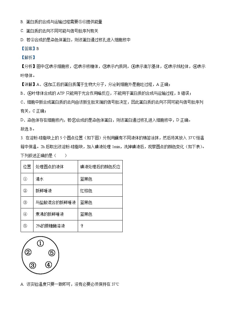 天津市和平区耀华中学2023-2024学年高三下学期第二次模拟生物试题（学生版+教师版）02