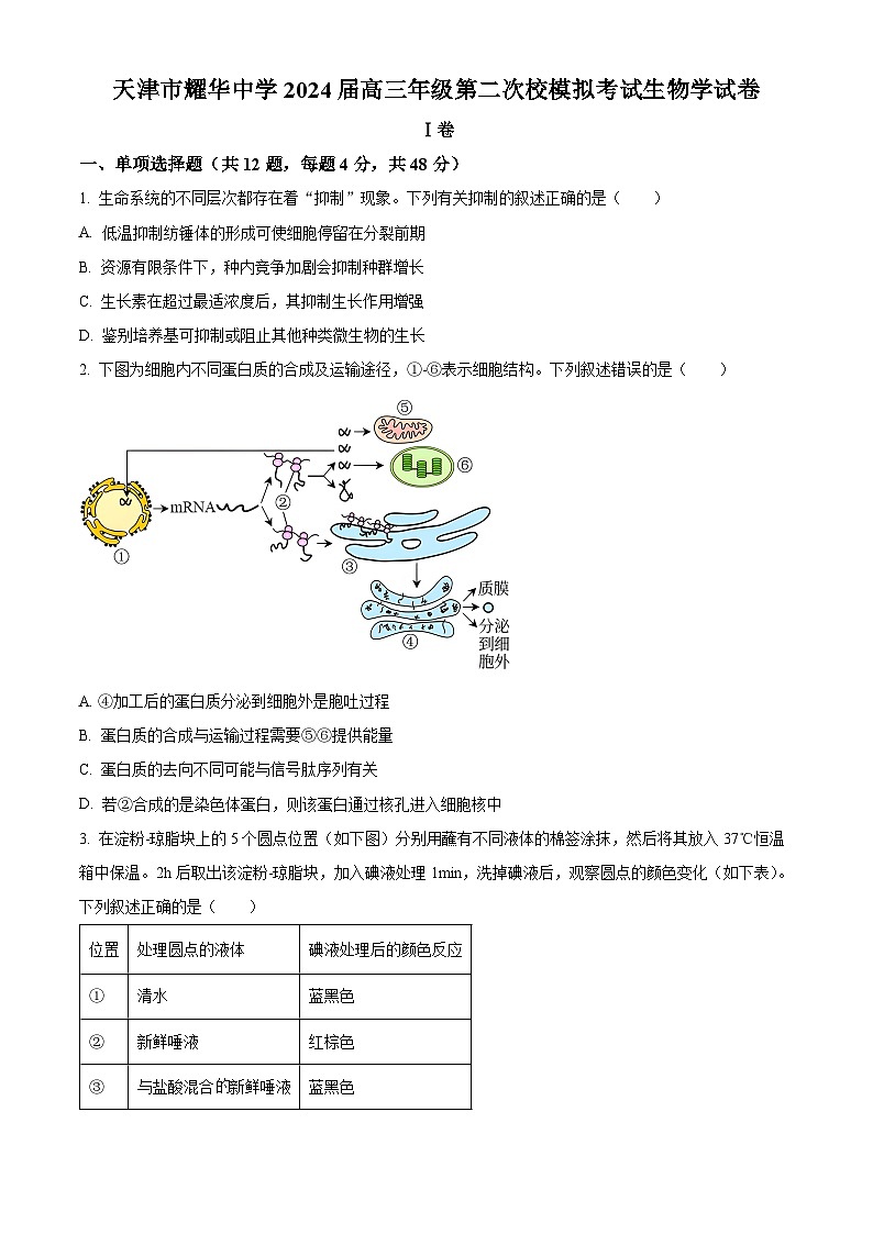 天津市和平区耀华中学2023-2024学年高三下学期第二次模拟生物试题（学生版+教师版）01