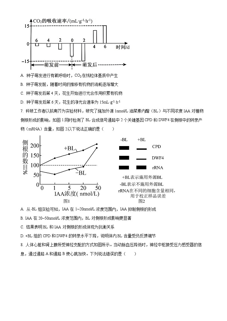 天津市和平区耀华中学2023-2024学年高三下学期第二次模拟生物试题（学生版+教师版）03