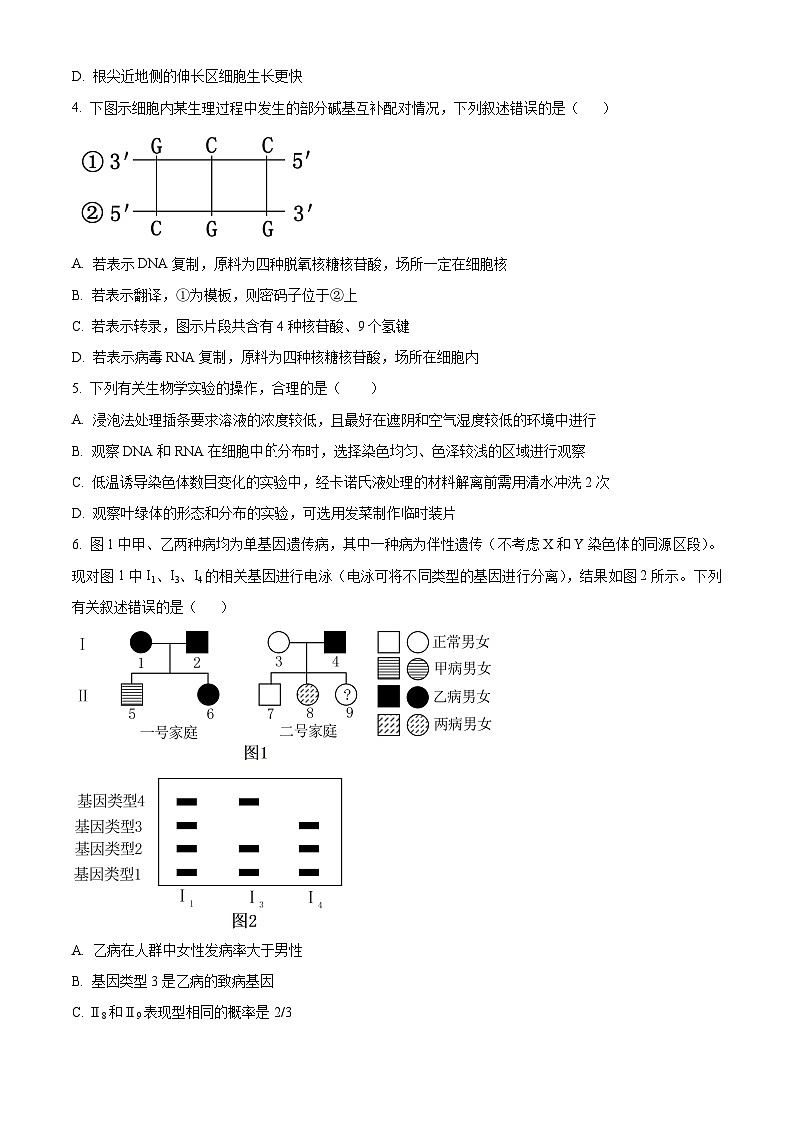 四川省遂宁市射洪市射洪中学2024届高三模拟考试（三）生物试题（学生版）第2页