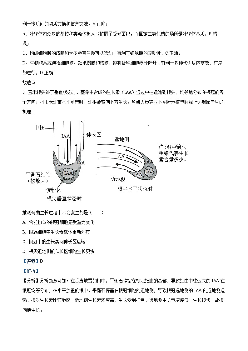 四川省遂宁市射洪市射洪中学2024届高三模拟考试（三）生物试题（教师版）第2页