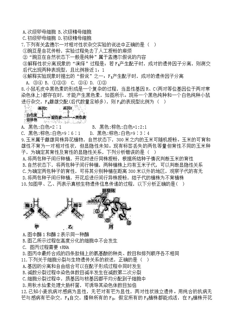 安徽省阜阳市颍州区红旗中学2023-2024学年高一下学期5月月考生物试题第2页