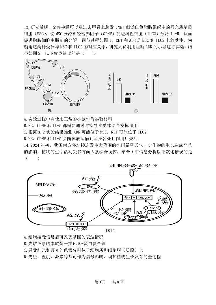 2024年哈三中高三五模生物试卷和答案第3页