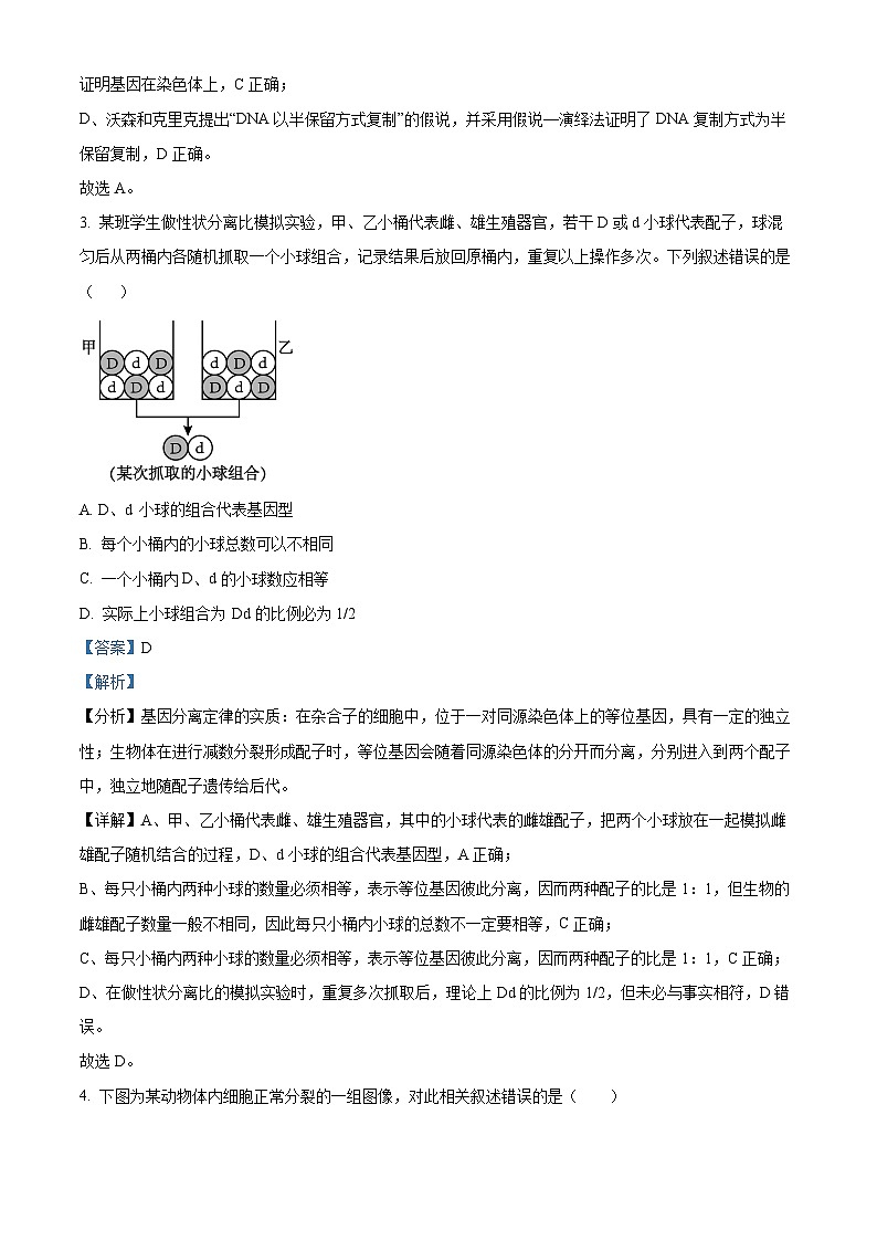 河南省郑州市郑中国际学校2023-2024学年高一下学期5月月考生物试题（学生版+教师版）02