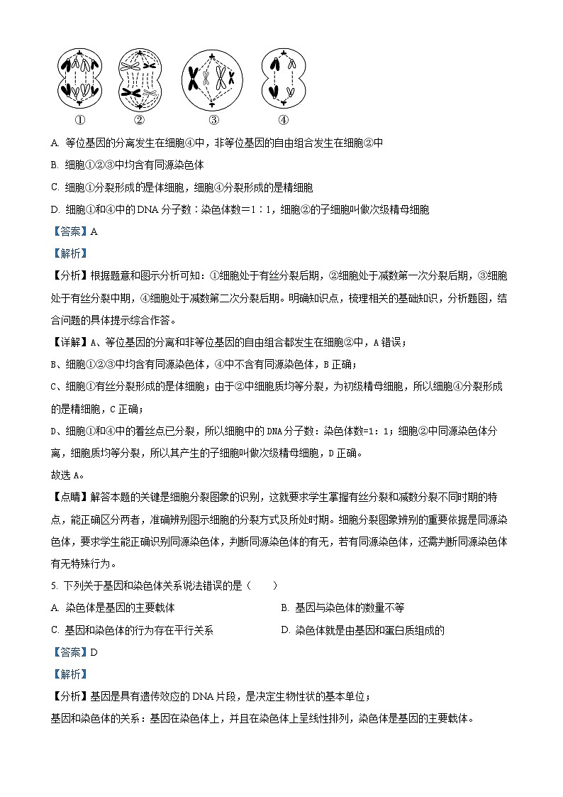 河南省郑州市郑中国际学校2023-2024学年高一下学期5月月考生物试题（学生版+教师版）03