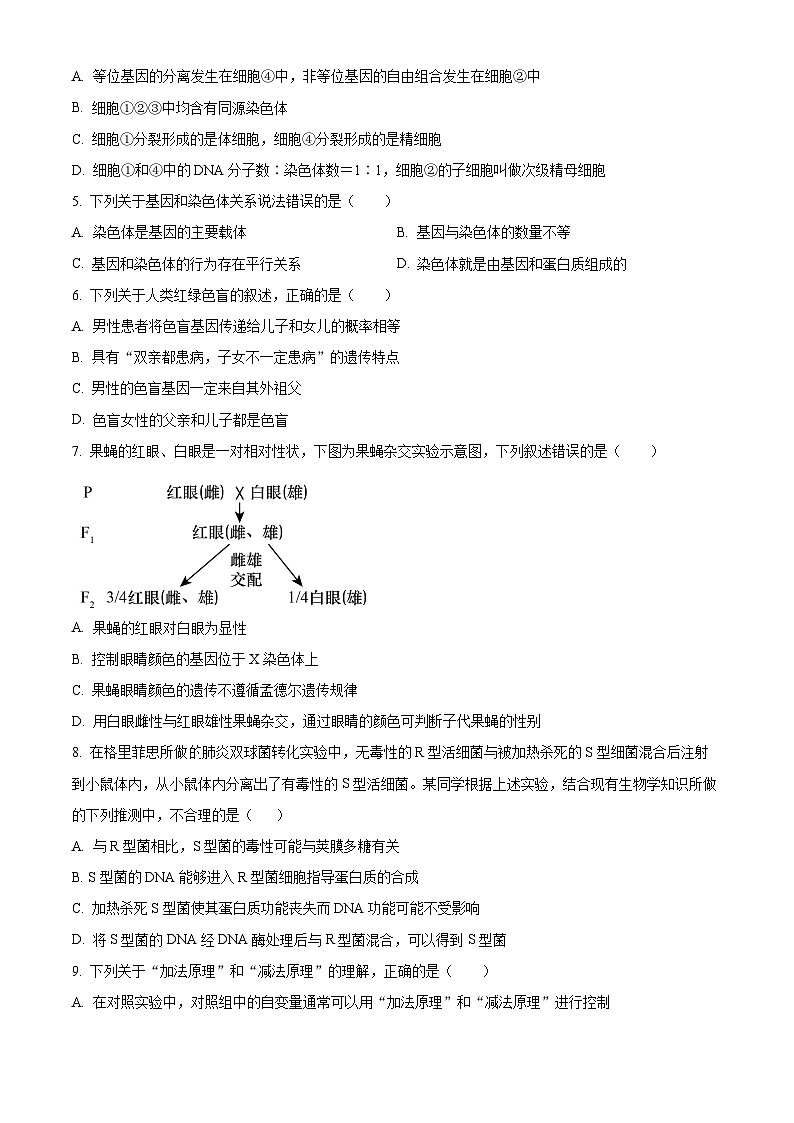 河南省郑州市郑中国际学校2023-2024学年高一下学期5月月考生物试题（学生版+教师版）02