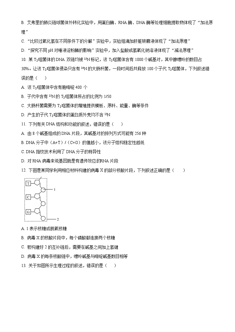 河南省郑州市郑中国际学校2023-2024学年高一下学期5月月考生物试题（学生版+教师版）03