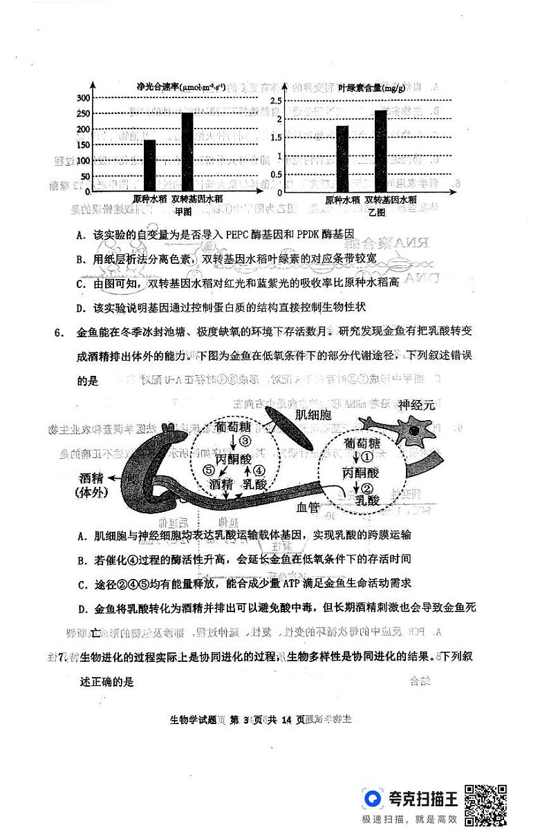 2024届辽宁省辽阳市辽阳县辽阳石油化纤公司高级中学高三模拟预测生物试题第3页