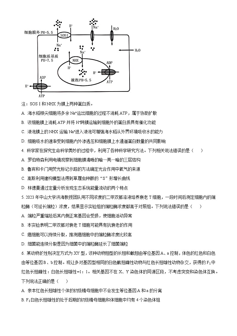 2024届安徽省合肥六中高三最后一卷生物试卷（学生版+教师版 ）02