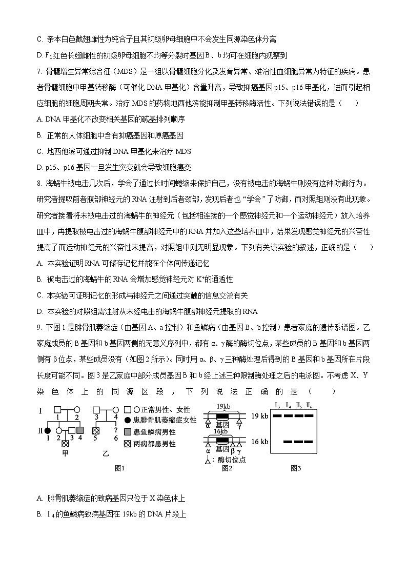 2024届安徽省合肥六中高三最后一卷生物试卷（学生版+教师版 ）03