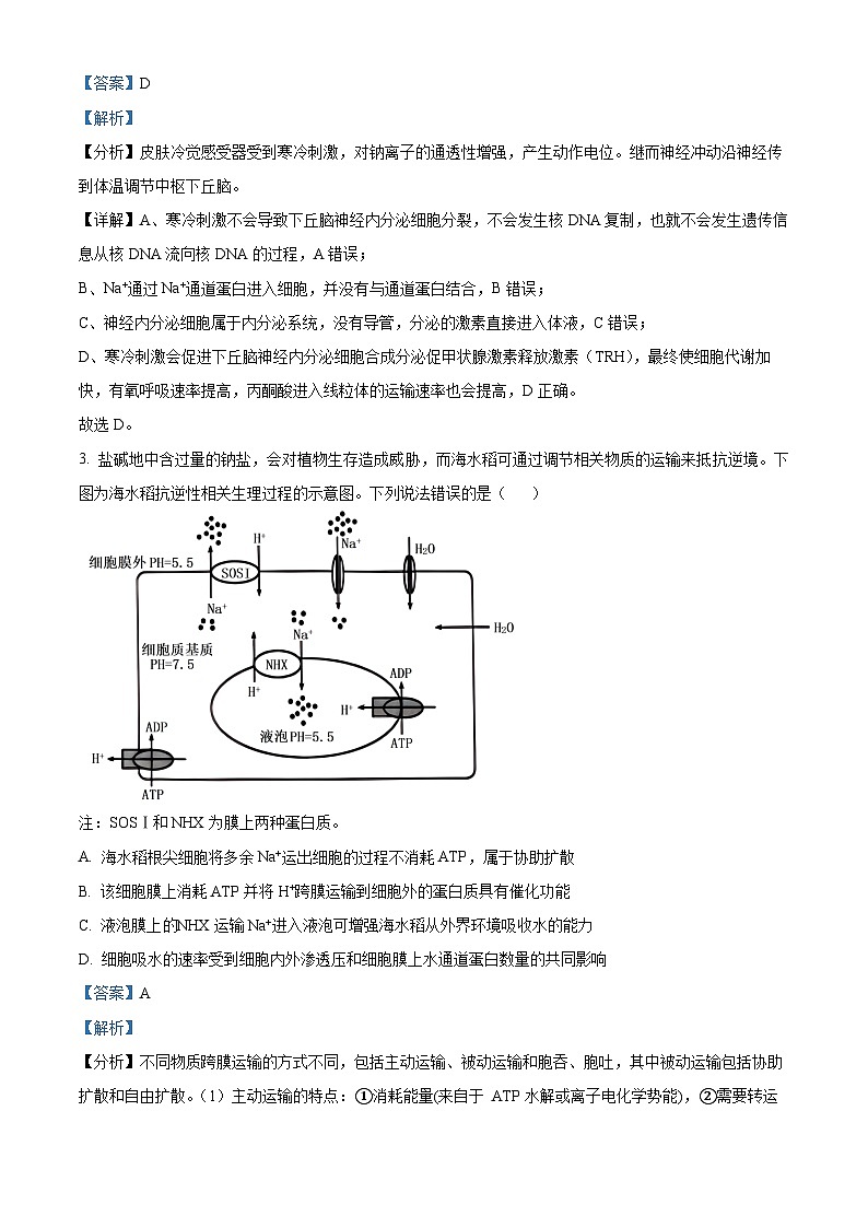 2024届安徽省合肥六中高三最后一卷生物试卷（学生版+教师版 ）02
