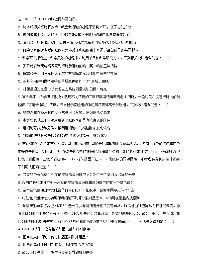 2024届安徽省合肥市第六中学高三最后一卷生物试题（学生版）第2页