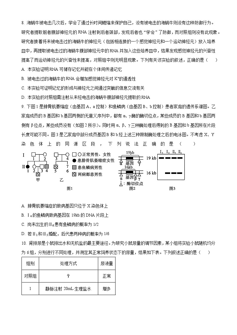 2024届安徽省合肥市第六中学高三最后一卷生物试题（学生版）第3页