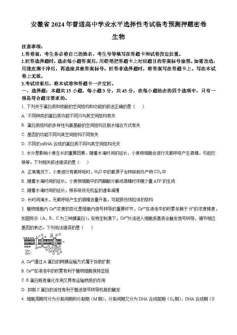 2024届安徽省普通高中学业水平选择性考试临考预测押题密卷生物A卷试题 （学生版）第1页