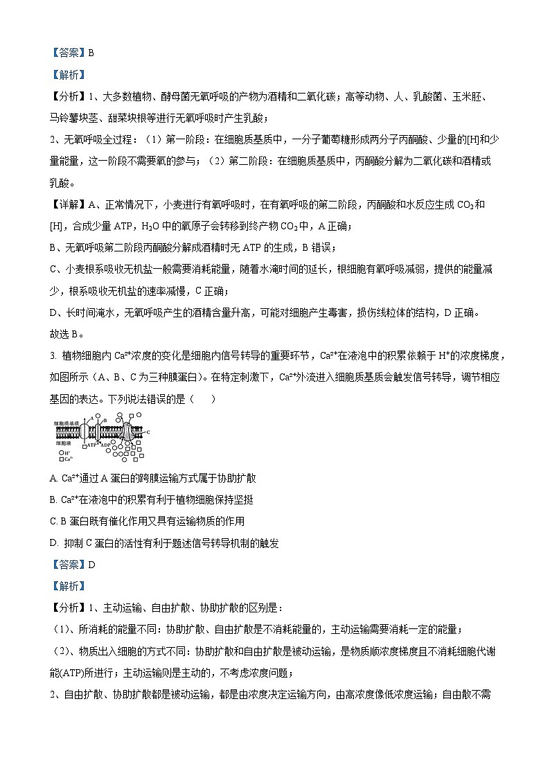 2024届安徽省普通高中学业水平选择性考试临考预测押题密卷生物A卷试题 （教师版 ）第2页