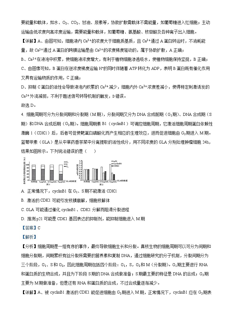 2024届安徽省普通高中学业水平选择性考试临考预测押题密卷生物A卷试题 （教师版 ）第3页