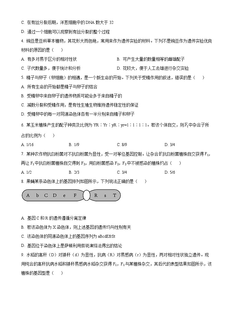 重庆市璧山来凤中学等九校联考2023-2024学年高一下学期5月月考生物试题（学生版）第2页