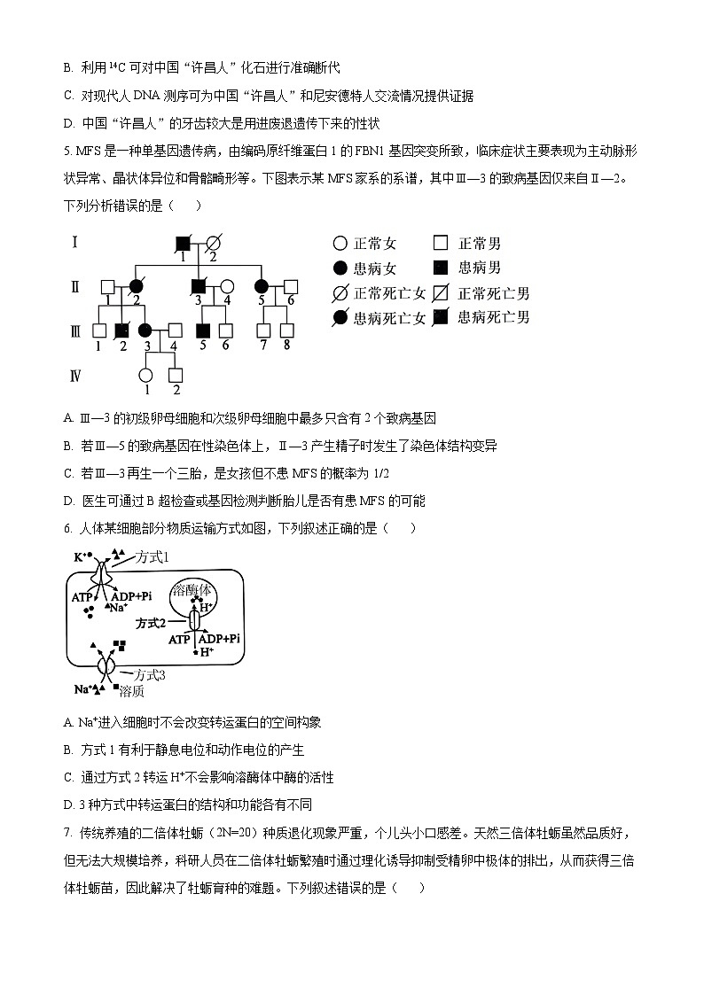 河北省沧州市沧县中学2023-2024学年高三下学期模拟预测生物试题（学生版+教师版 ）02
