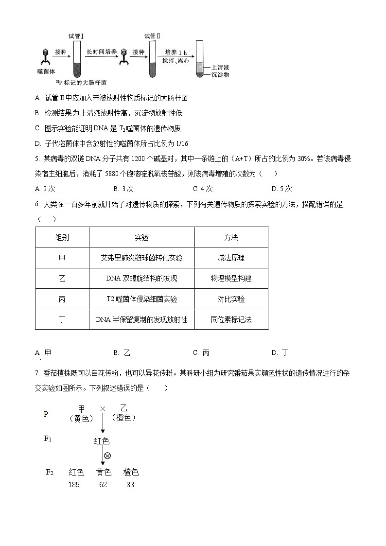 河南省创新发展联盟2023-2024学年高一下学期5月月考生物试题（学生版+教师版 ）02
