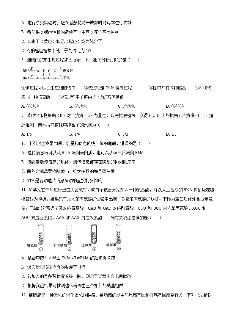 河南省创新发展联盟2023-2024学年高一下学期5月月考生物试题（学生版+教师版 ）03