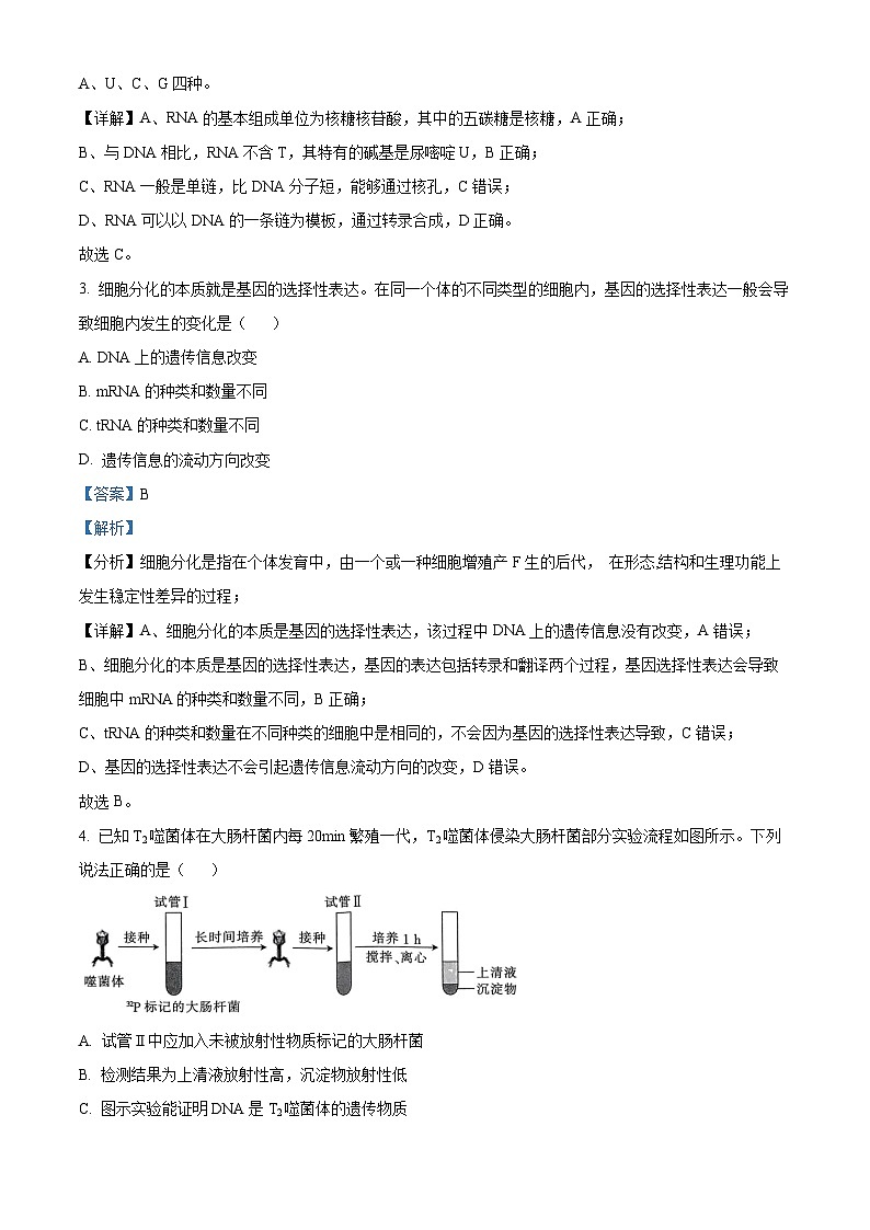 河南省创新发展联盟2023-2024学年高一下学期5月月考生物试题（学生版+教师版 ）02